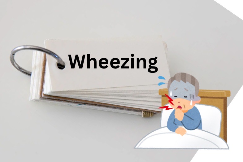 れっさー　医療英語　wheezing