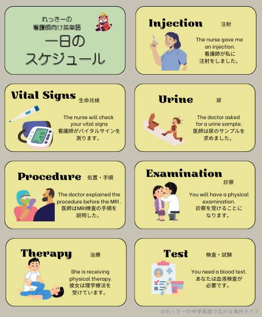れっさー 一日のスケジュール 英単語