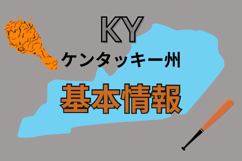 基本情報