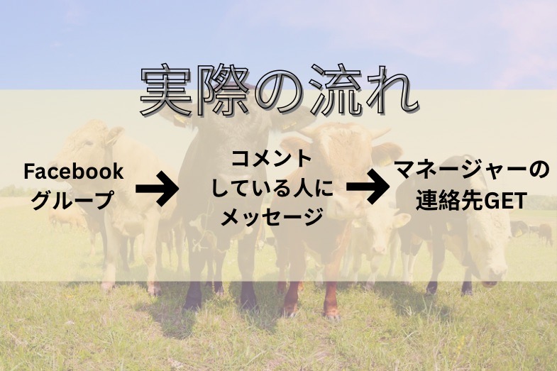 ファーム探し画像