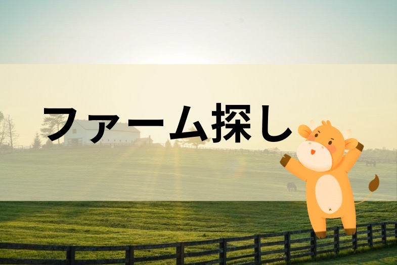 ファーム探し画像 牛