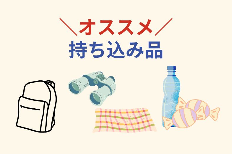 ジャース観戦で荷物が引っかかった話