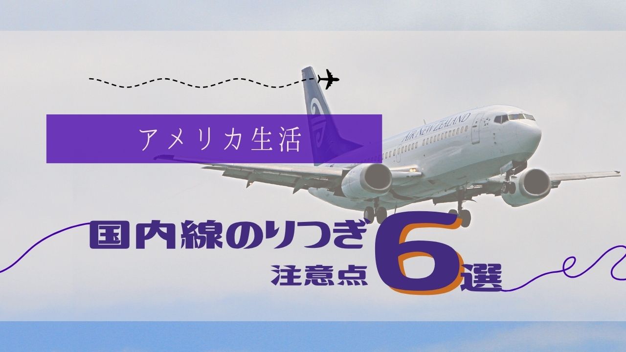 アメリカ国内線　れっさー
