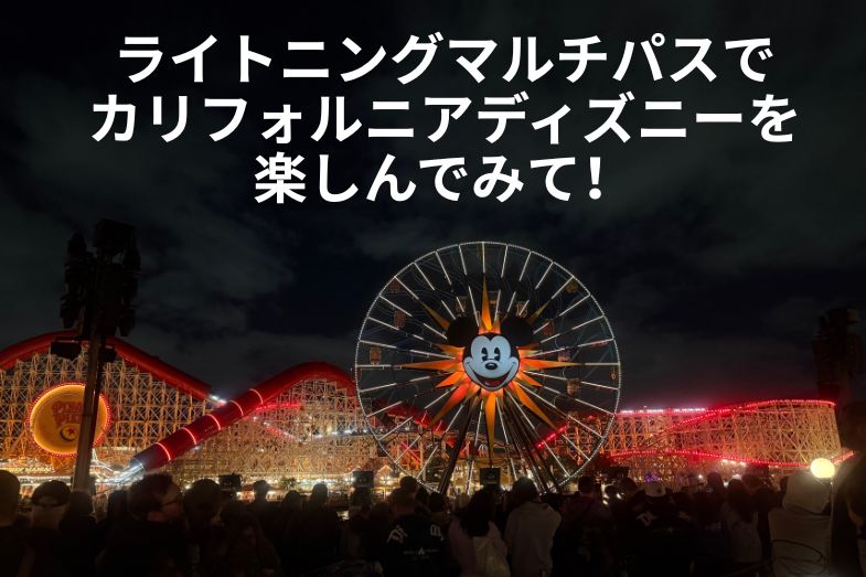 ライトニングマルチパス徹底解説 たのしんで