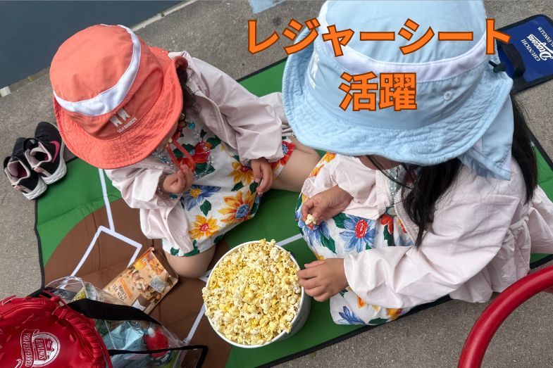レジャーシート